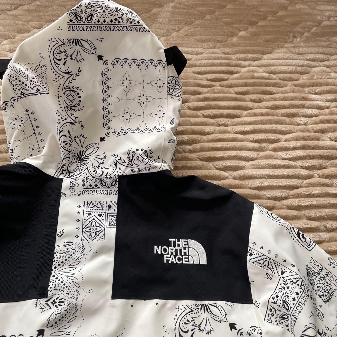 韓国限定　ノースフェイス マウンテンジャケット ゴアテックス ペイズリー　L