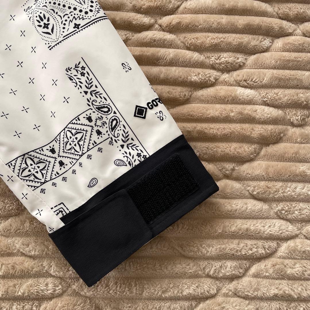 韓国限定　ノースフェイス マウンテンジャケット ゴアテックス ペイズリー　L