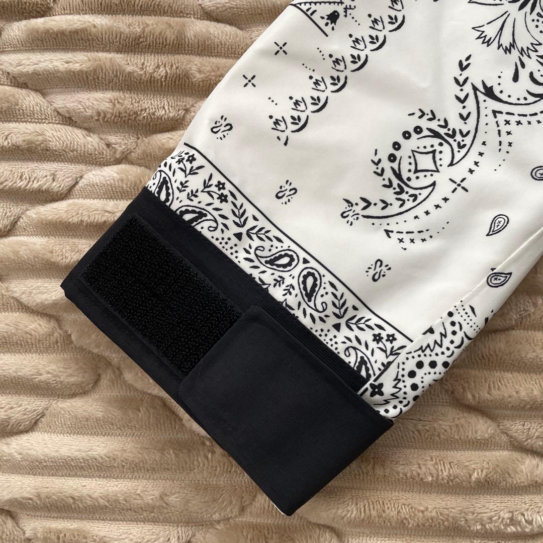 韓国限定　ノースフェイス マウンテンジャケット ゴアテックス ペイズリー　L