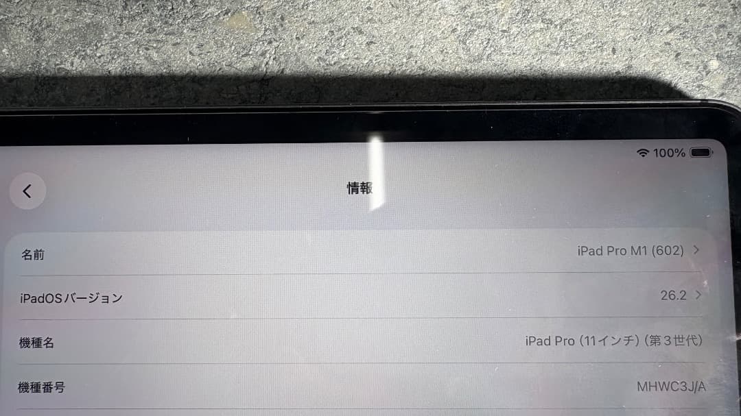 Apple iPad Pro M1 1TB 11インチ Cellularモデル