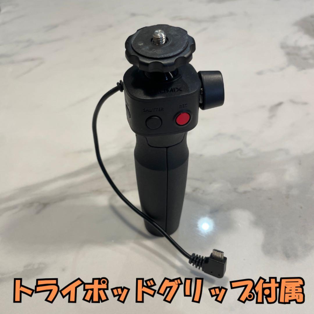 【豪華アクセサリー付属 限定セット販売】LUMIX DC-G100V 美品セット