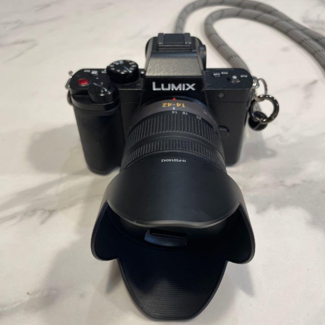 【豪華アクセサリー付属 限定セット販売】LUMIX DC-G100V 美品セット