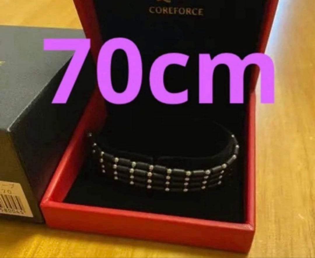 ご*ー様 COREFORCE コアフォース SUS CFL ブラック