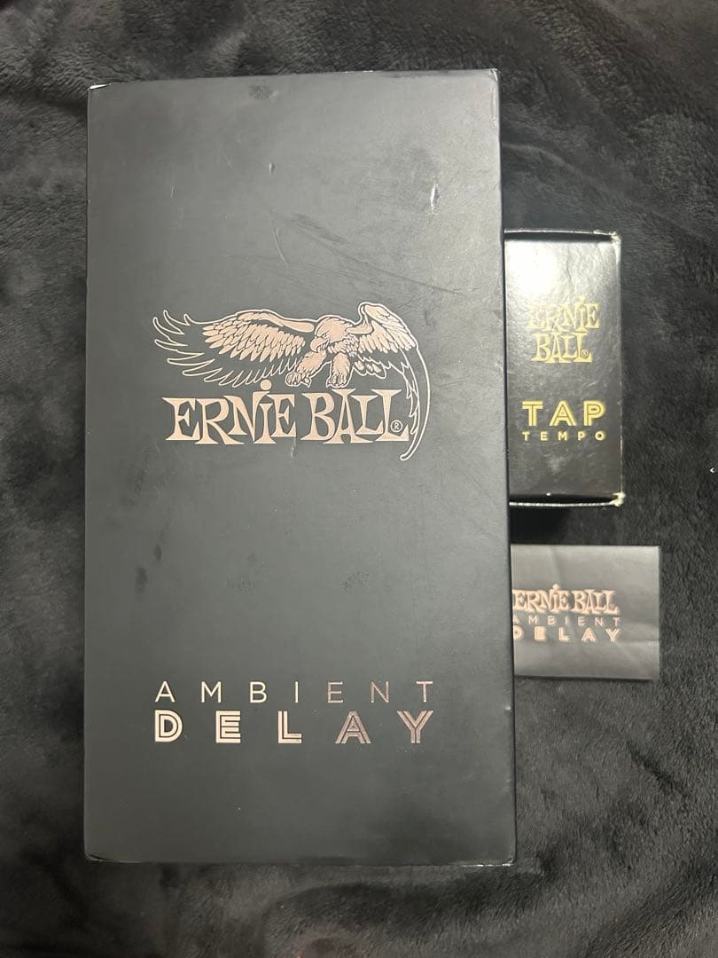 再値下！ERNIE BALL AMBIENT DELAY / TAP TEMPO