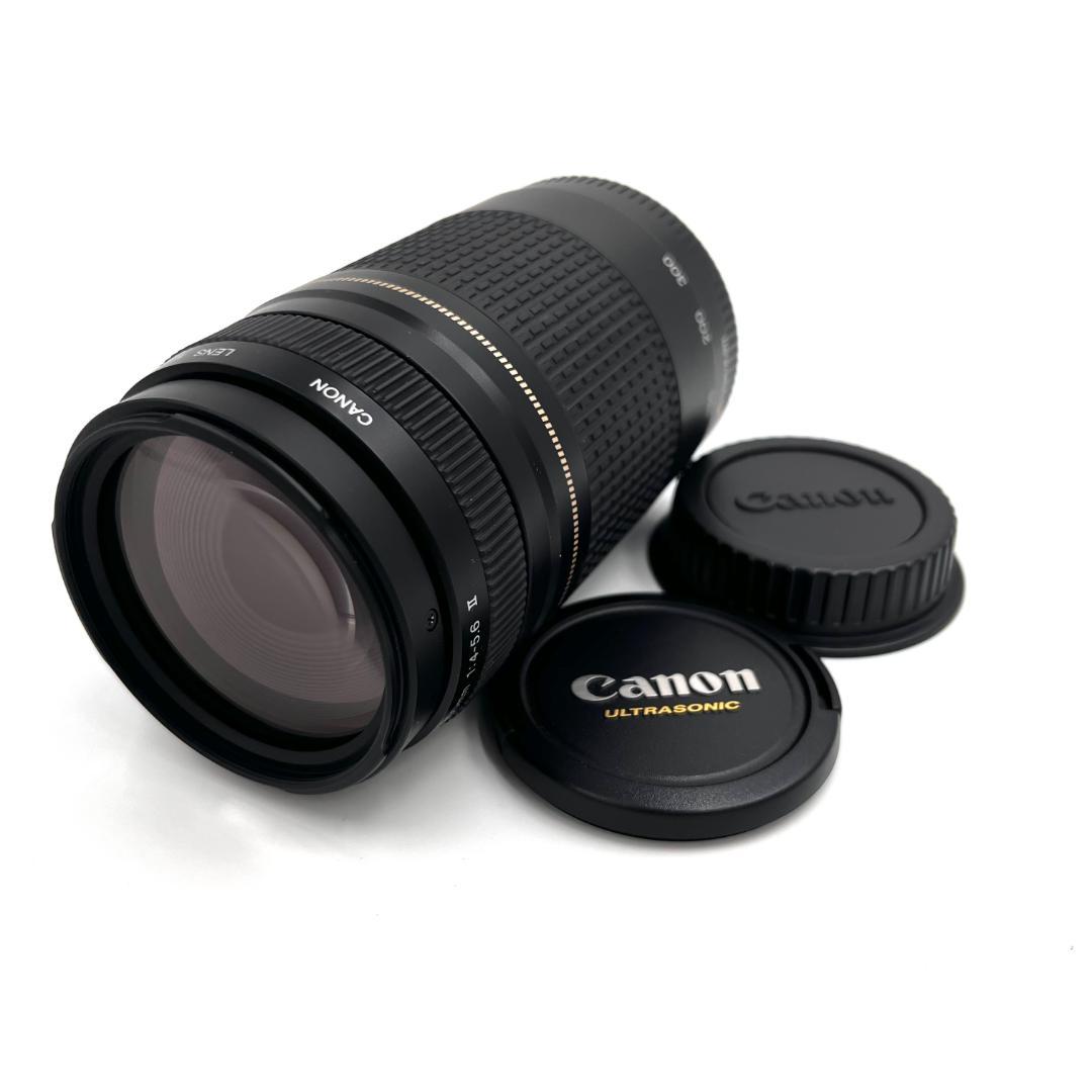 望遠レンズ Canon EF 75-300mm F4-5.6 USM #355