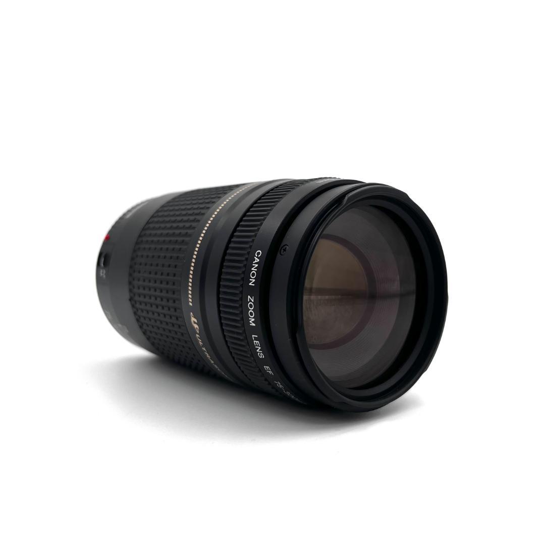 望遠レンズ Canon EF 75-300mm F4-5.6 USM #355