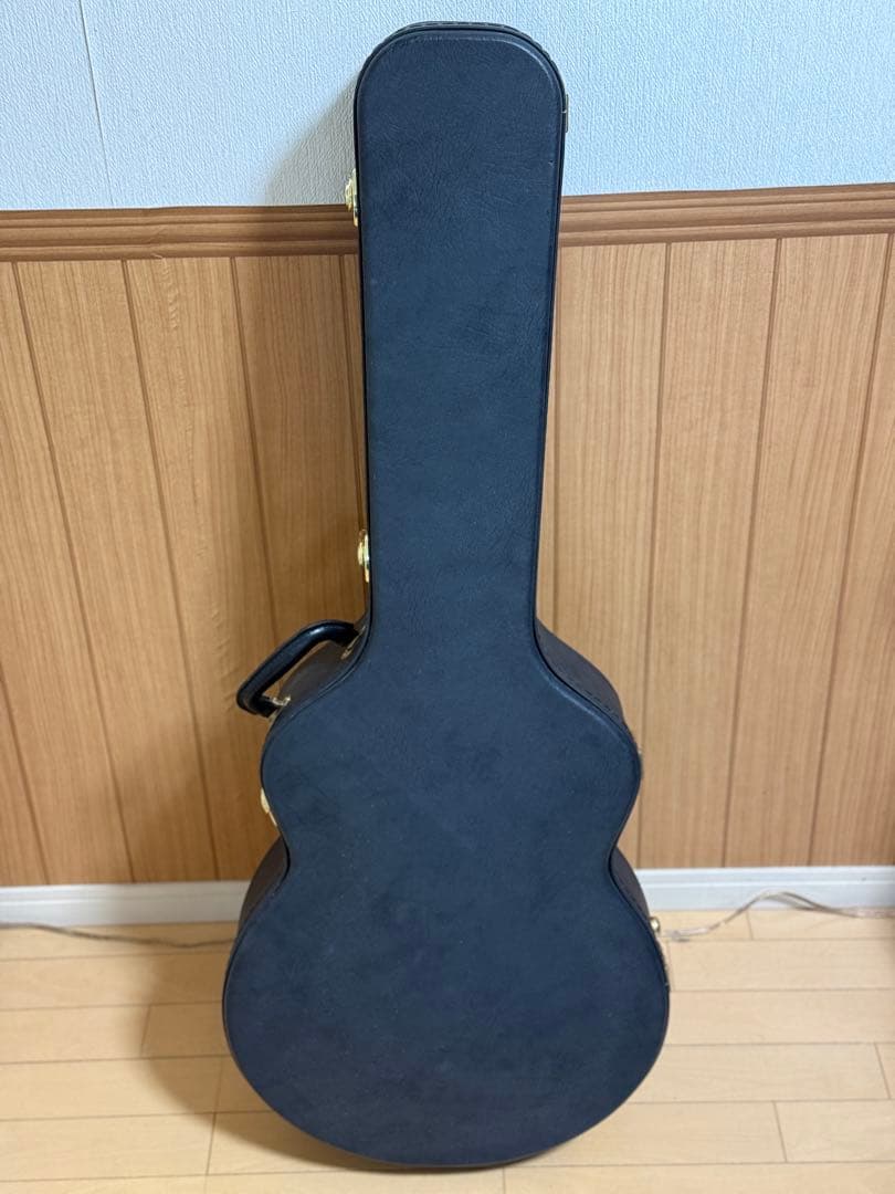 T’s guitars Arc Hollow Jazz