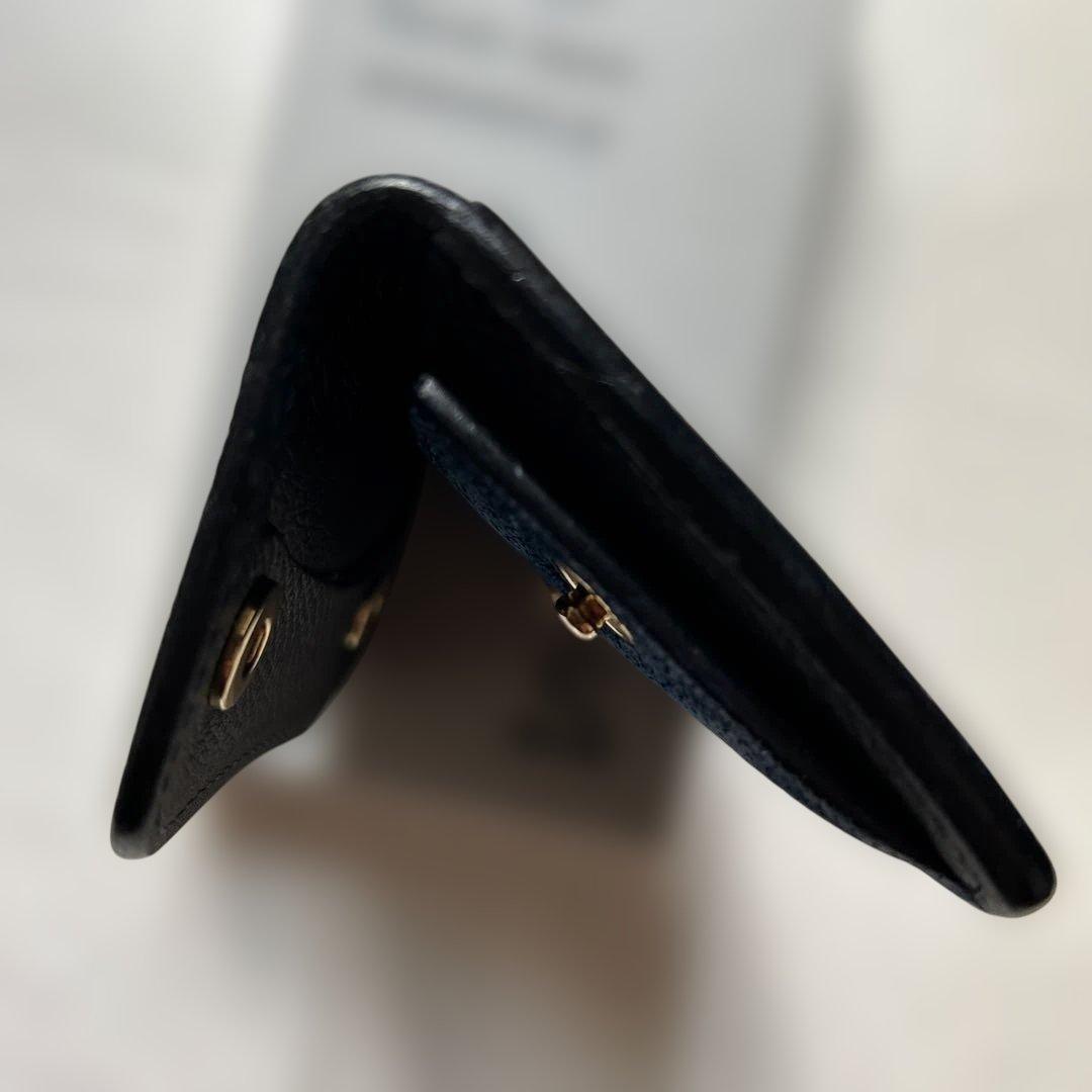 い*ん様 ワイルドスワンズ、タング、エレファント