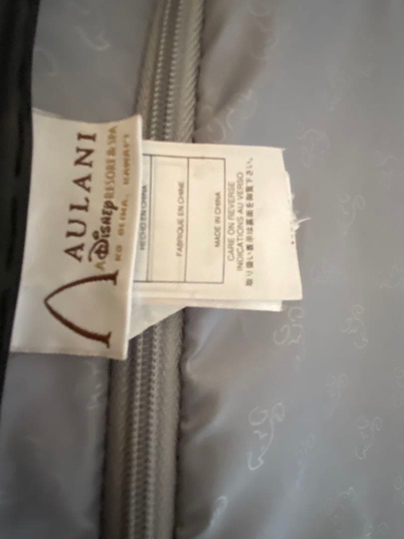 希少！美品！ディズニー　アウラニ　ダッフィー　スーツケース