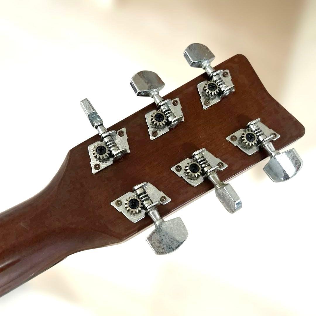 ギター anthony viernes Dedicated