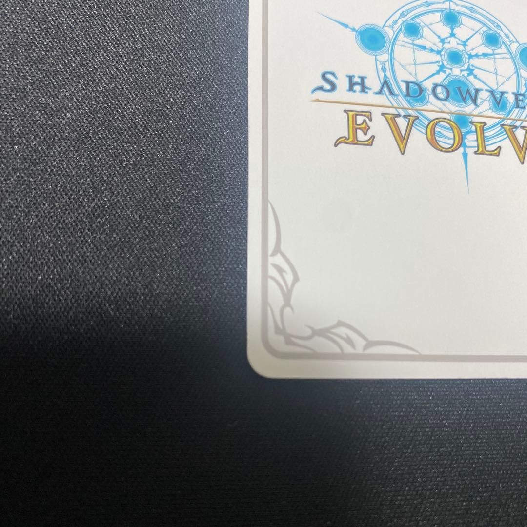 万華の鳳凰・ほーちゃん　リーダー