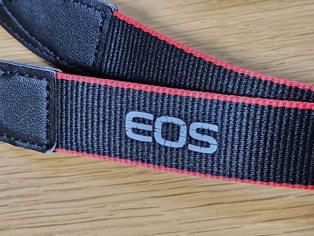 Canon キャノン カメラ EOS M10