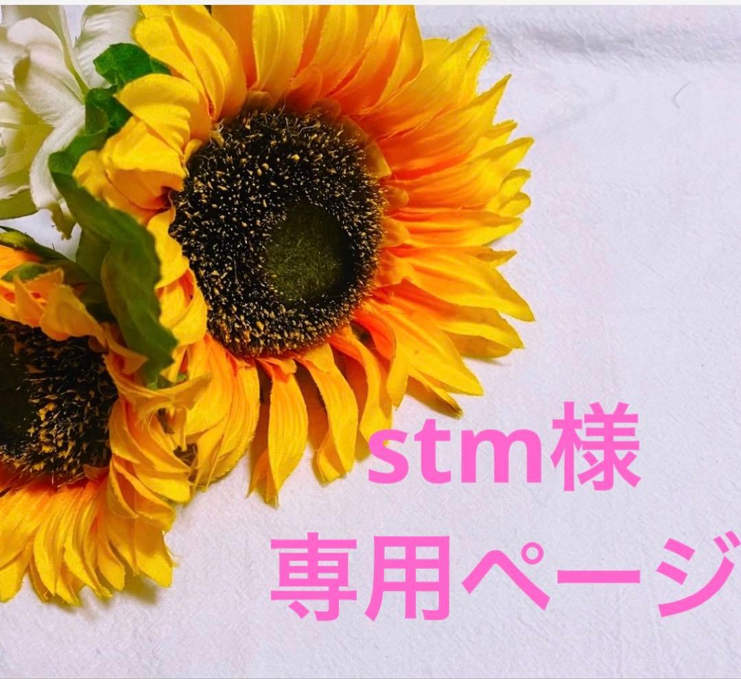 stmページです