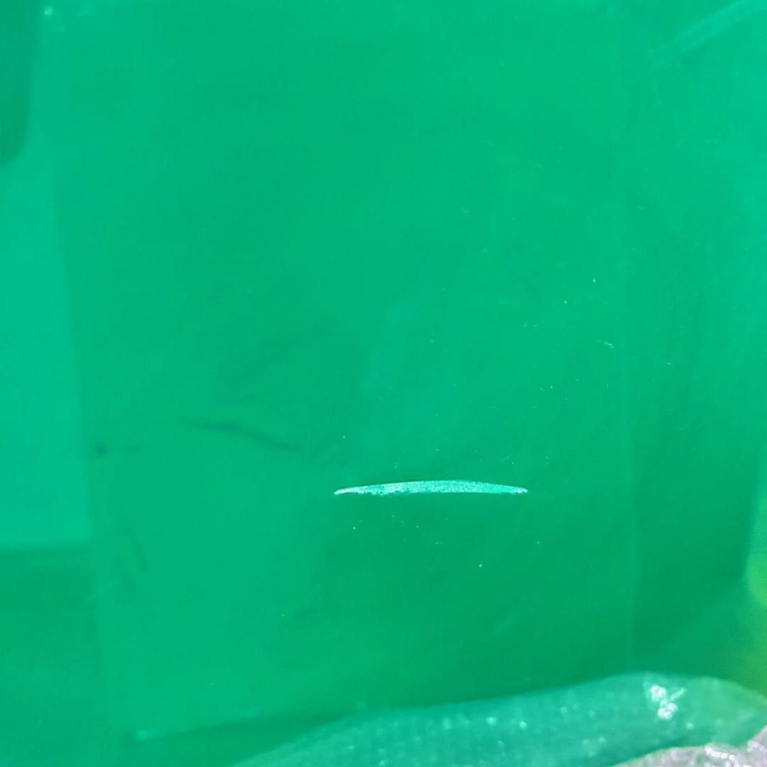 【訳あり②】ウォールシェルフ 壁掛けラック ウーテンシロ リプロダクト 新品 緑