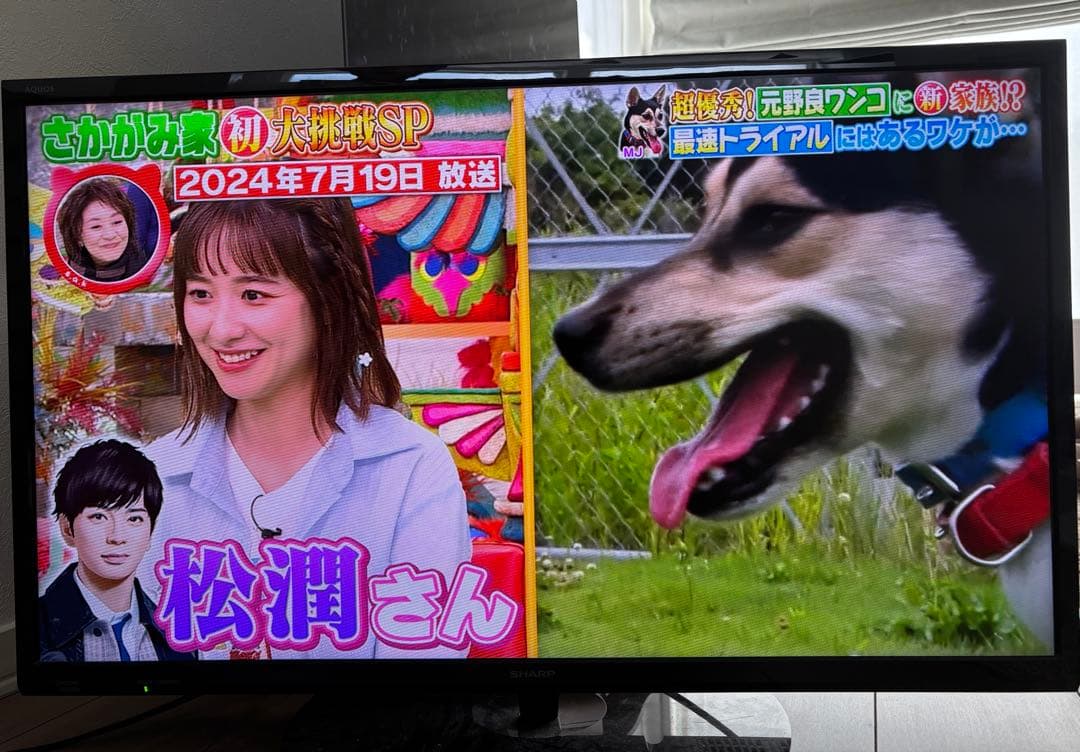 SHARP 32インチテレビ 2T-C32AE1(動作確認済)