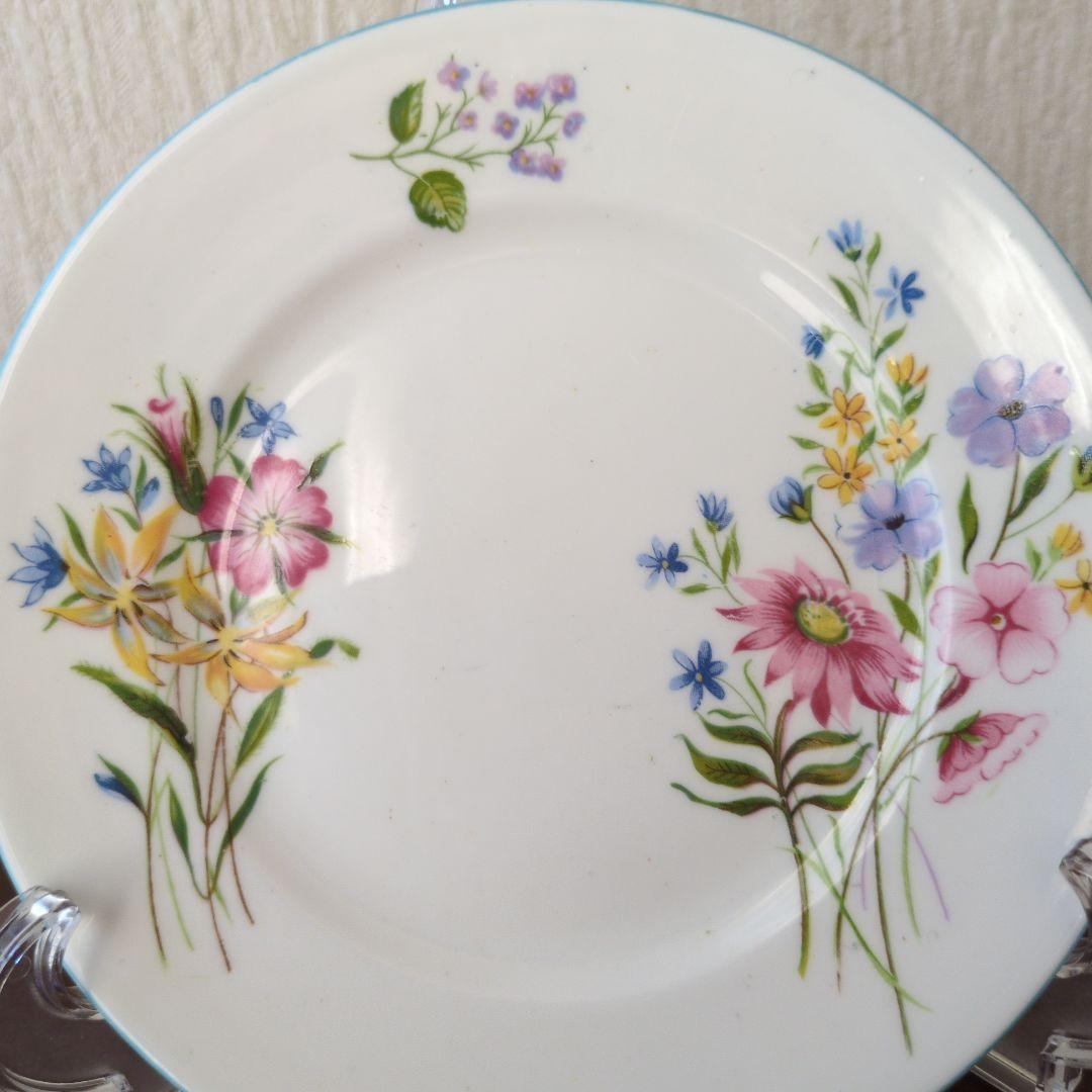 シェリー＊SHELLY＊ワイルドフラワー＊２人用ポット＊おまけつき