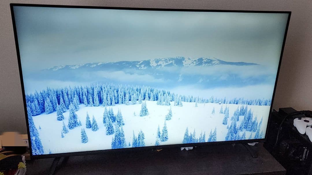 アイリスオーヤマ LUCA 4K対応液晶テレビ 49V型