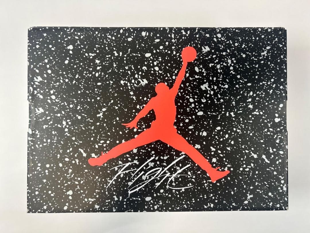 Nike Jordan Spizike Low スパイジーク ロー