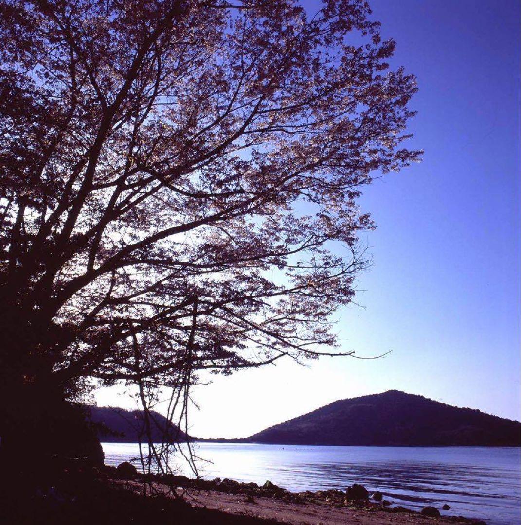 【作動確認済み】ゼンザブロニカS2　Nikkor-P75mm f/2.8