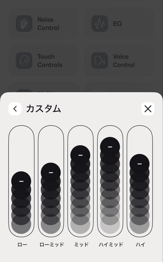 Bose イヤホン Bose QuietComfort Earbuds