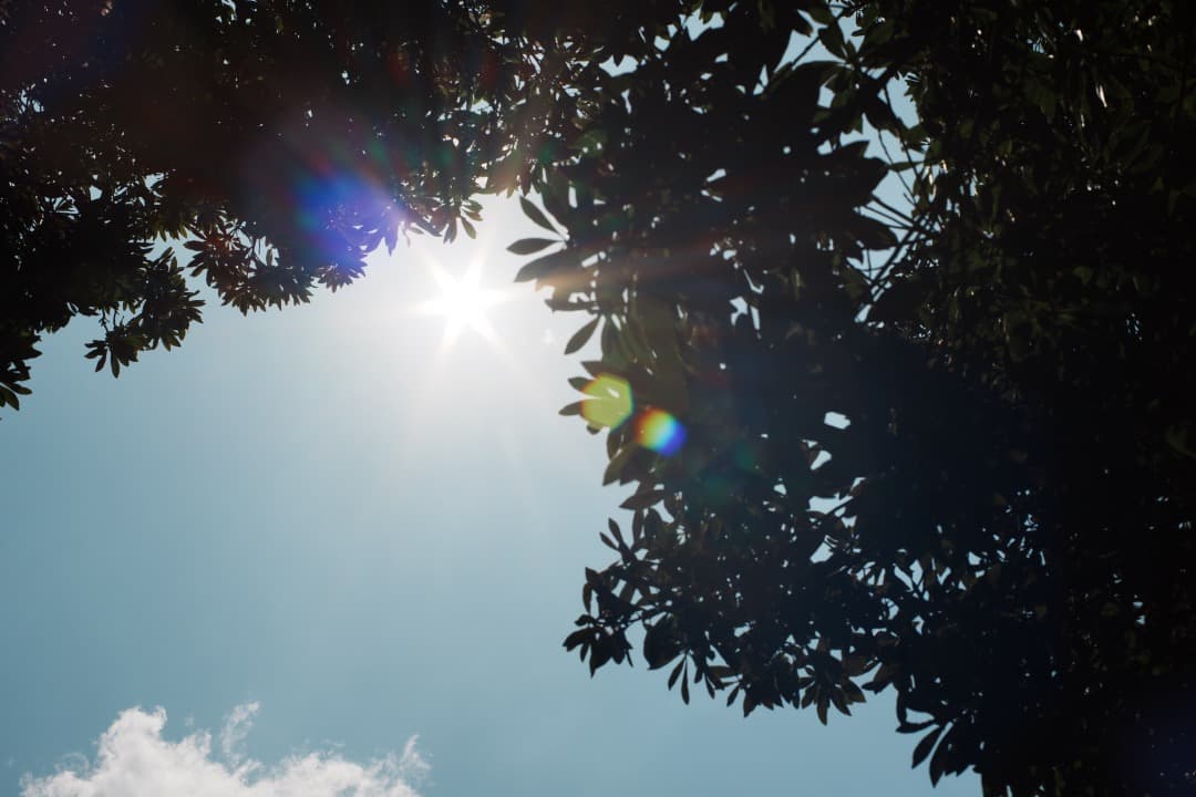 【極美品】Carl Zeiss Planar 50mm F1.4 MMJ 077