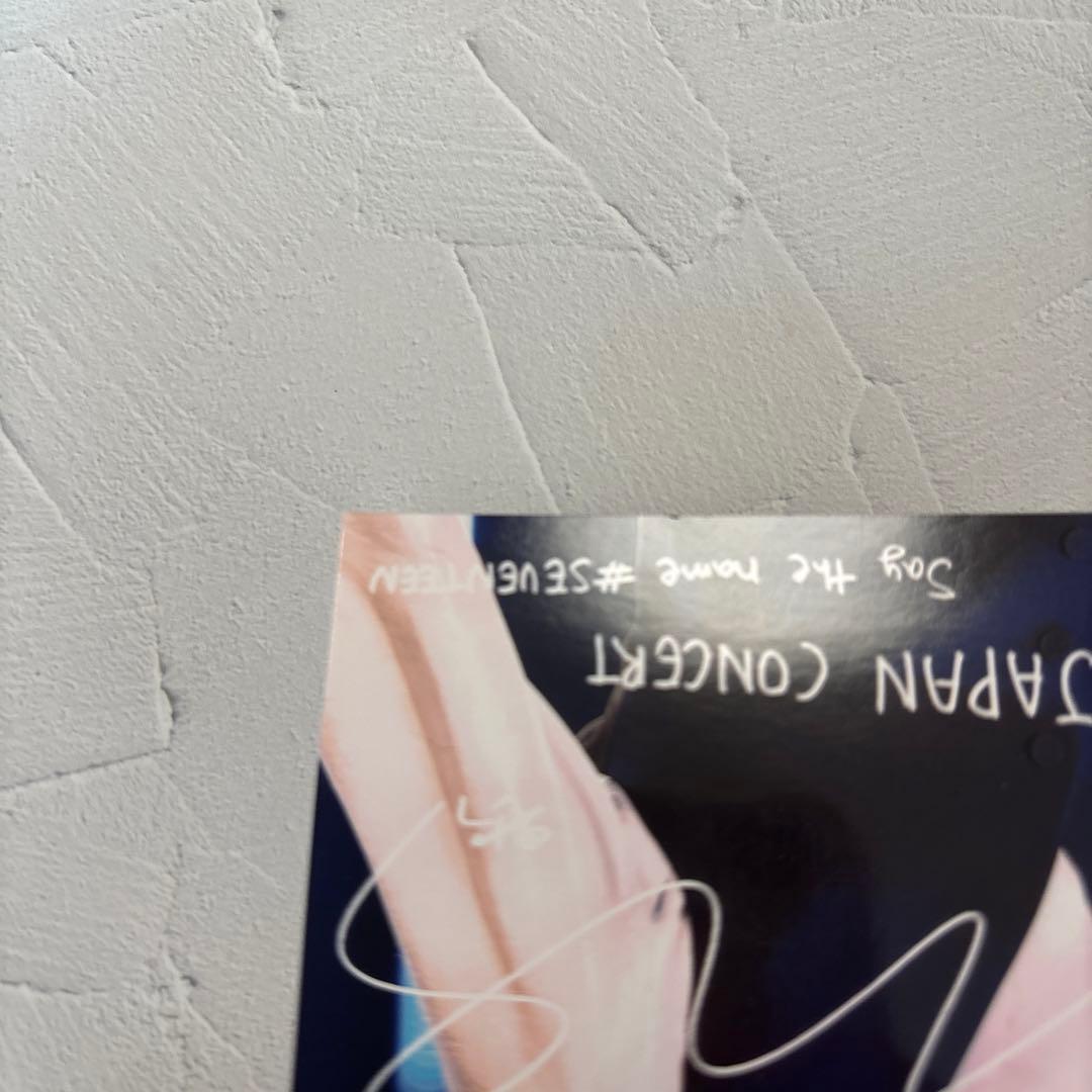 SEVENTEEN☆ローソンプリント ウォヌ 11枚セット