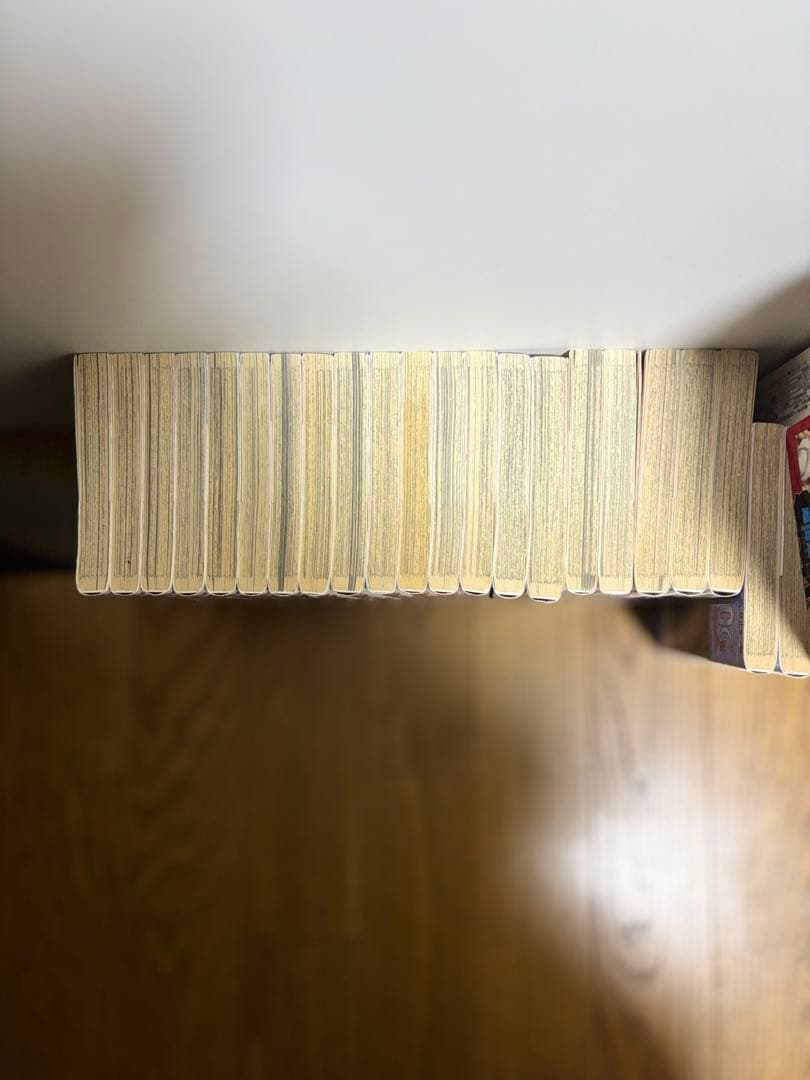 【即購入・値段交渉⭕️】ONE PIECE 全巻セット1-113(最新刊まで)