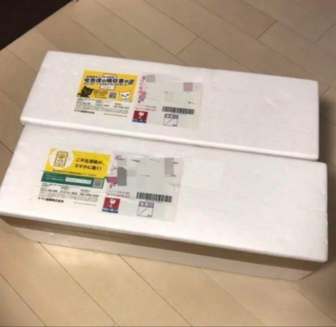 森伊蔵　1800ml 芋焼酎　2本セット