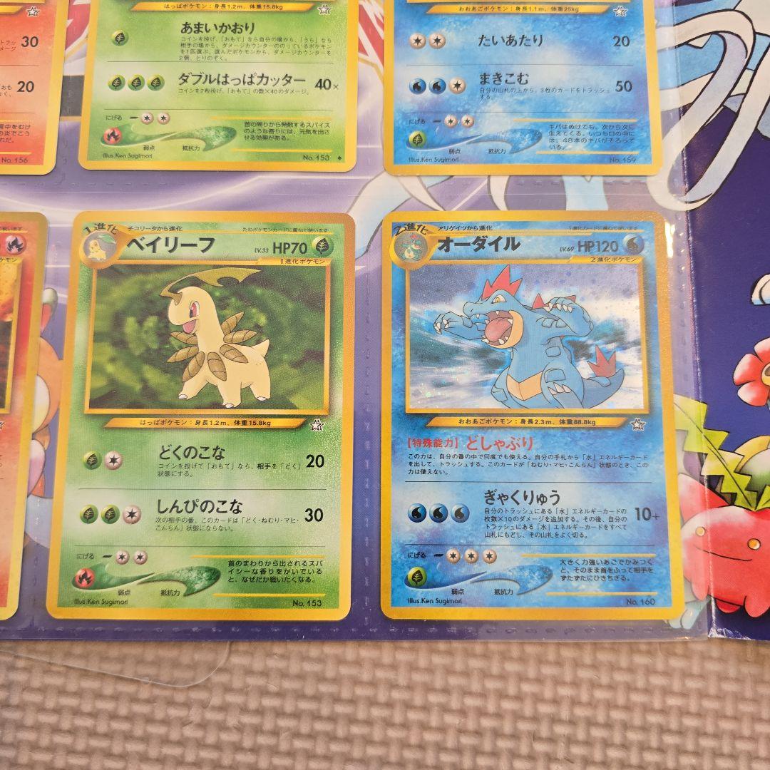 旧ポケカ　金銀シリーズ御三家♡ファイル付