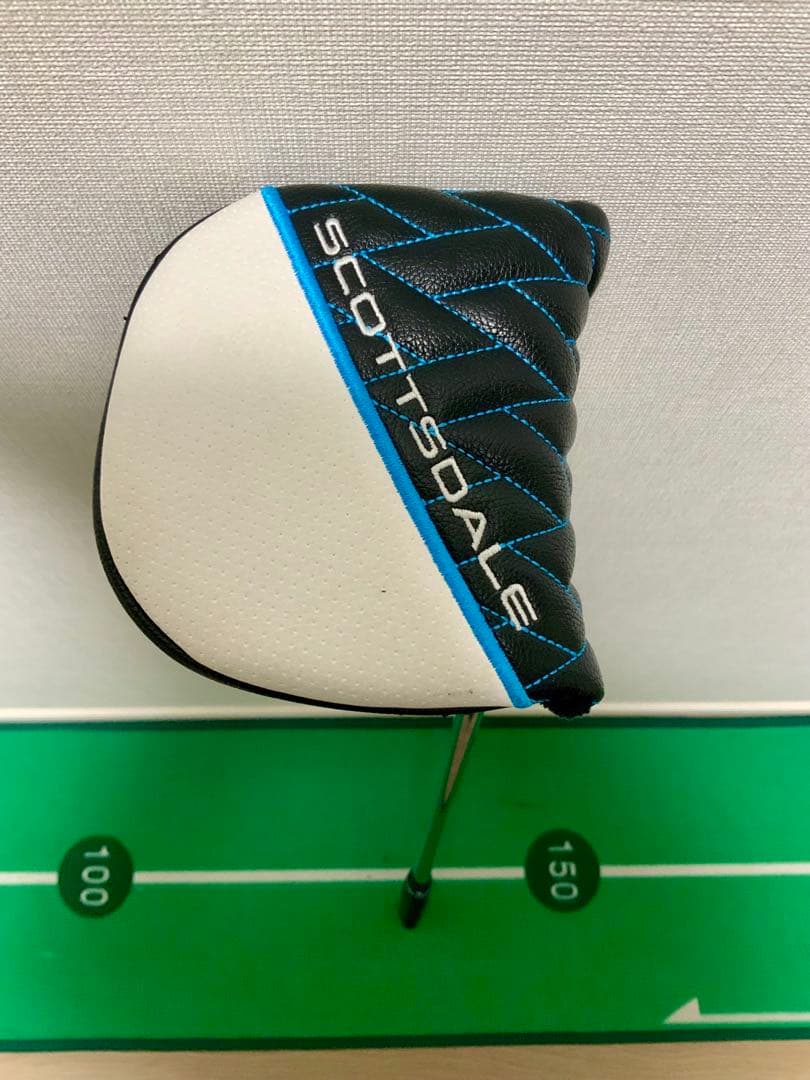 ピンSIGMA2 TYNE4 プラチナム　特注カスタム品