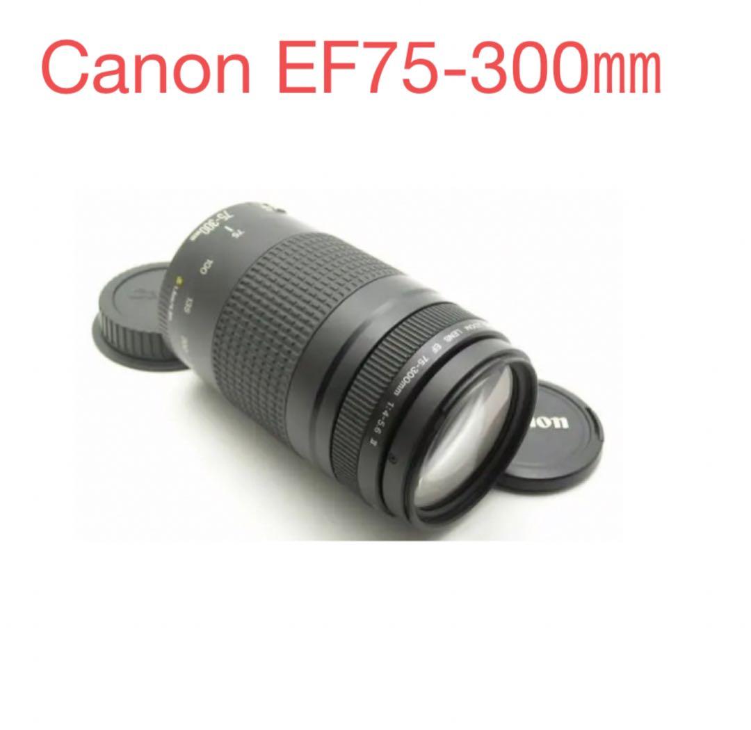 スポーツ/イベント等/Canon EF75-300㎜F4-5.6 II