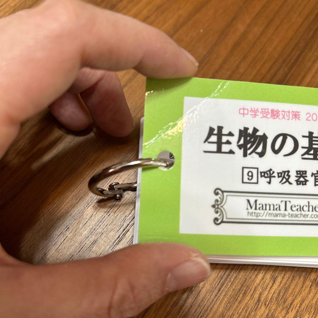 ママティーチャー