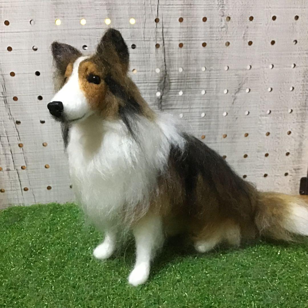 【渡辺様ご予約品】シェットランドシープドッグ（お座りポーズ）