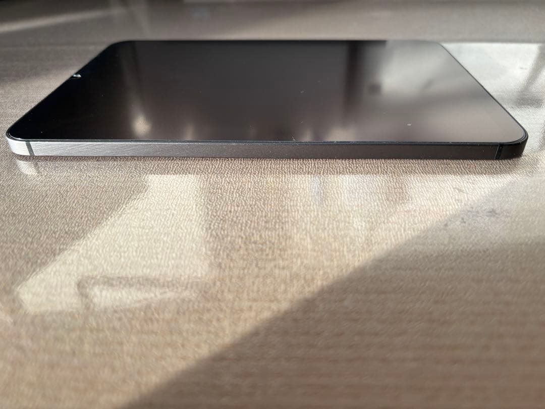 【美品】iPad mini（第6世代）256GB Wi-Fi/Cellular