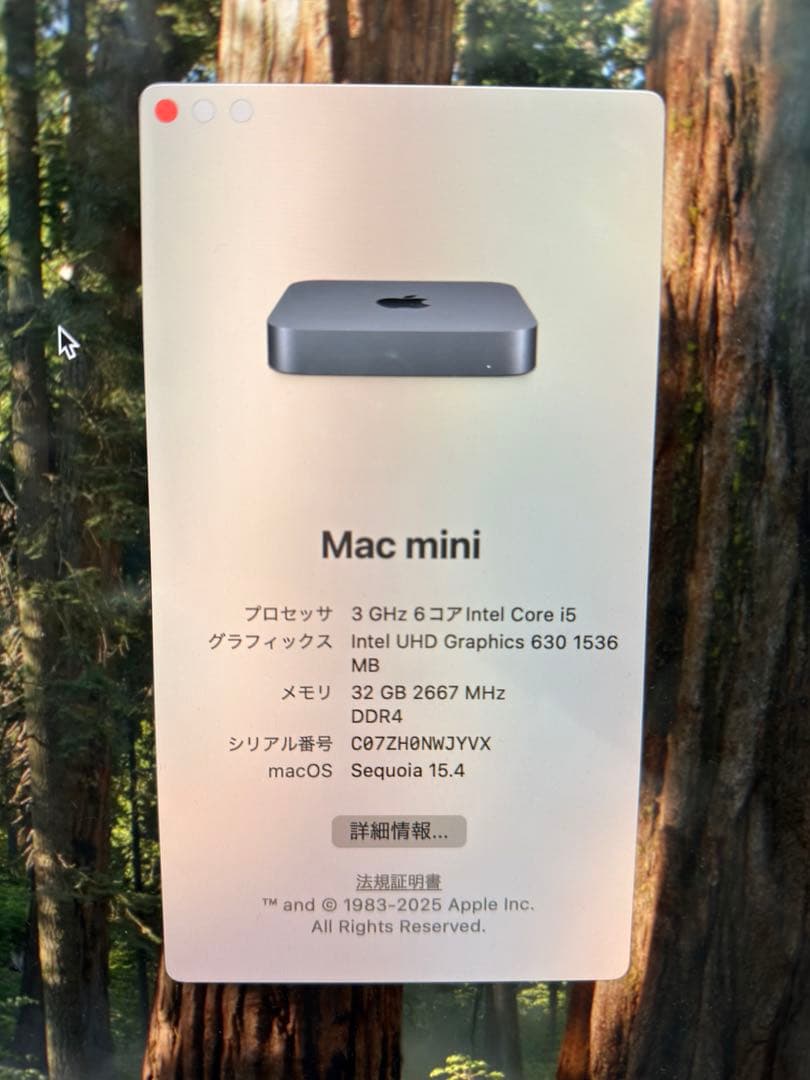 ミニPC Apple Mac mini 2018 Core i5 32GB 250GB