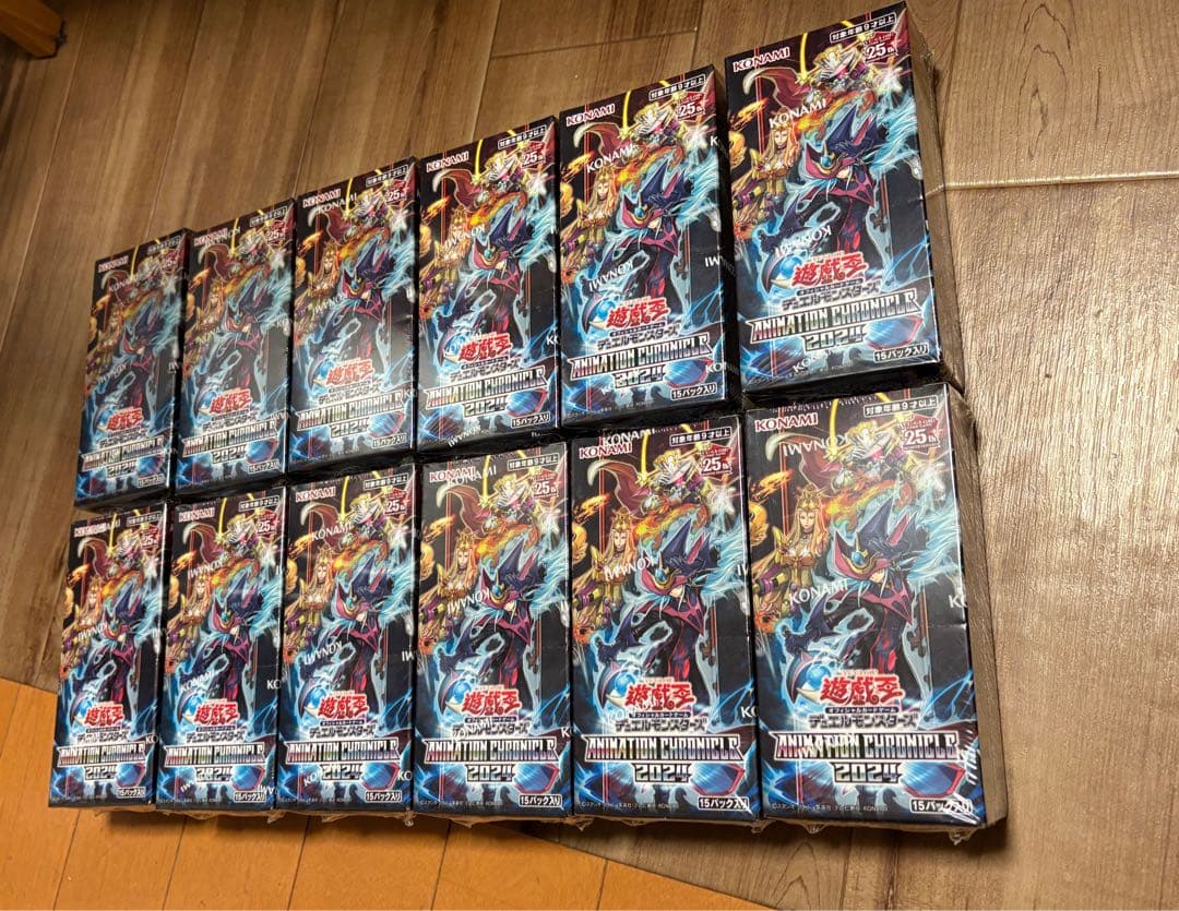 遊戯王 アニメーションクロニクル 2024 シュリンク付き 12box