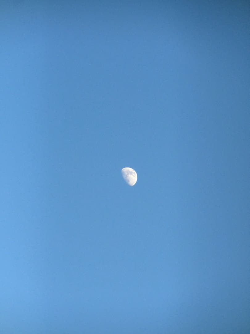 CASIO EXILIM EX-ZR60 ホワイト動作確認済