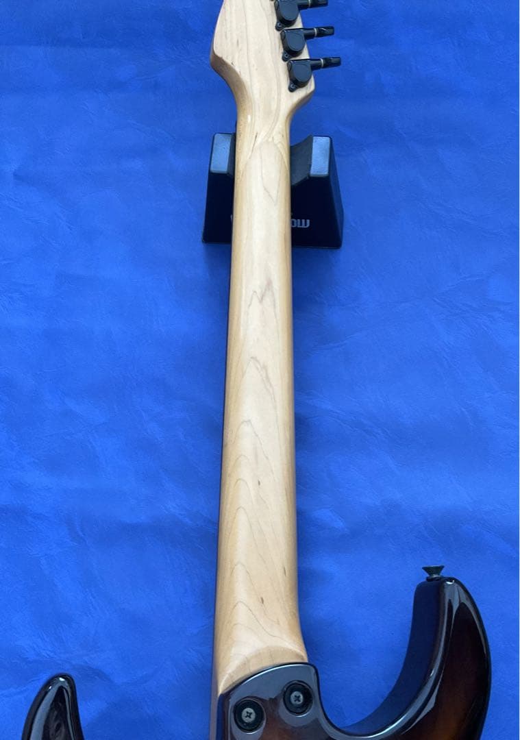 【玄人向け】Fernandes FR ブラウンバースト【特殊トレモロ】