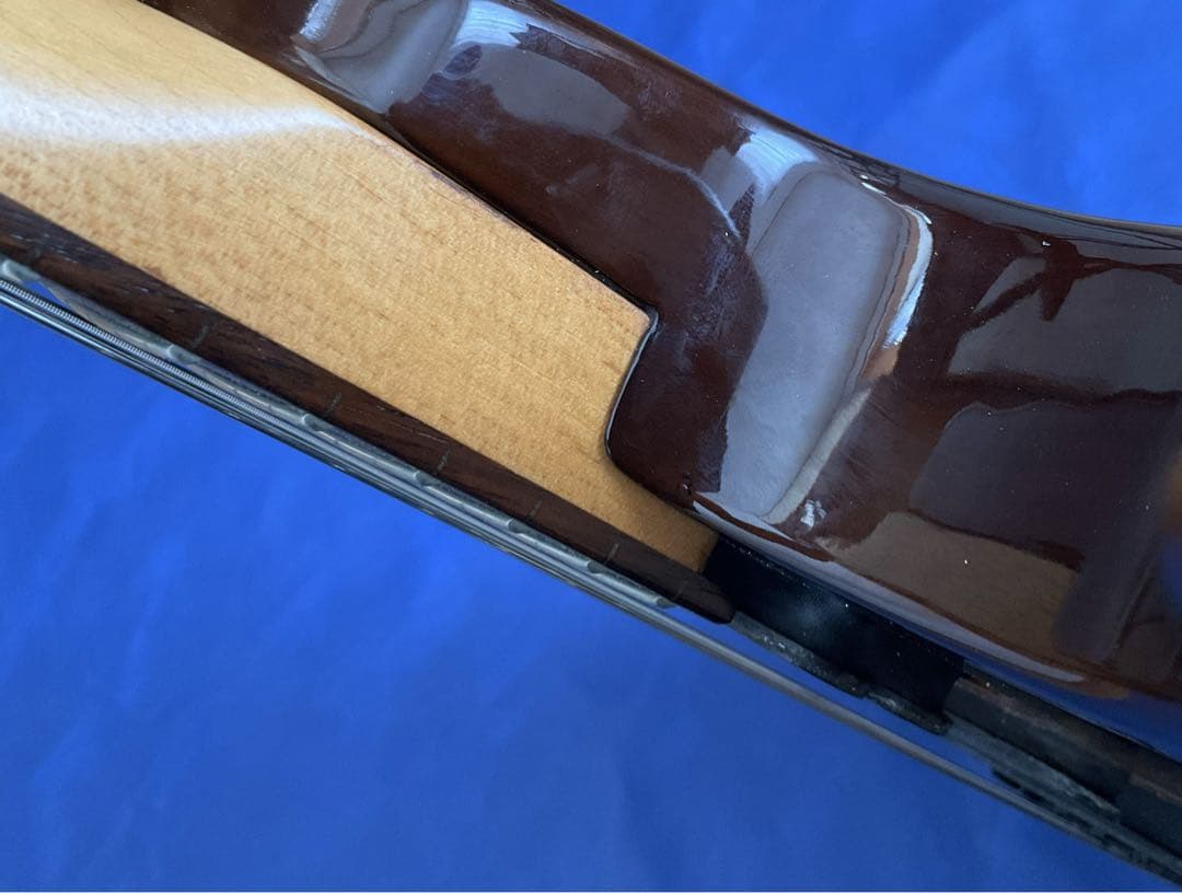 【玄人向け】Fernandes FR ブラウンバースト【特殊トレモロ】