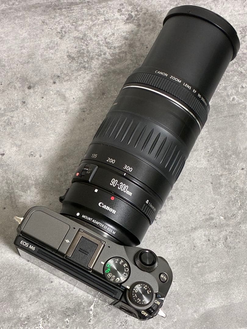 ⭐️美品⭐️Canon EF90-300 USM & EF-EOS M アダプター