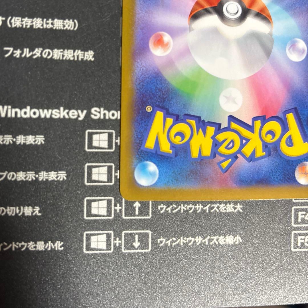 メガジガルデ MUR