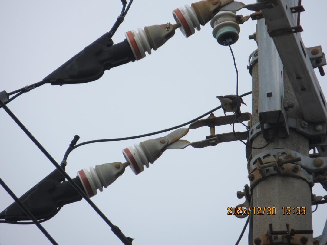 Canon PowerShot SX260 HS コンパクトデジタルカメラ