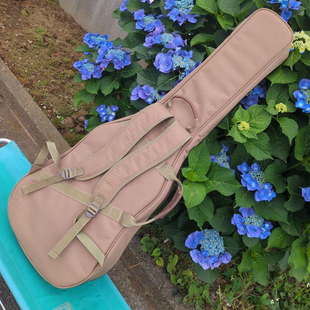 Taylor Academy 12e エレアコ中古