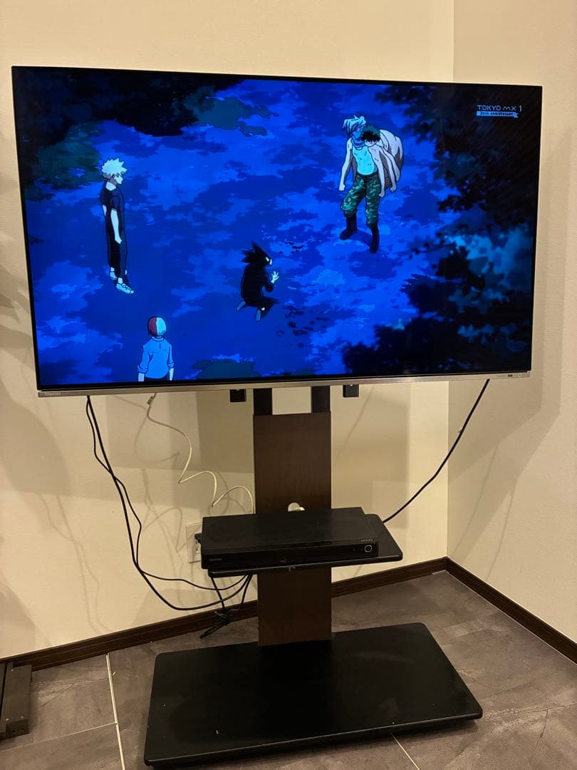 大画面 REGZA 4K 有機ELテレビ　55X8400