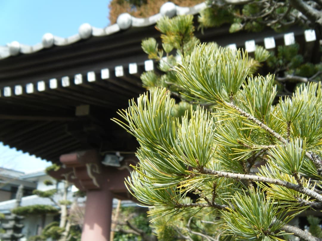 実写美⭕️良品【動作確認済】FUJIFILM 防水 FinePix Z33WP