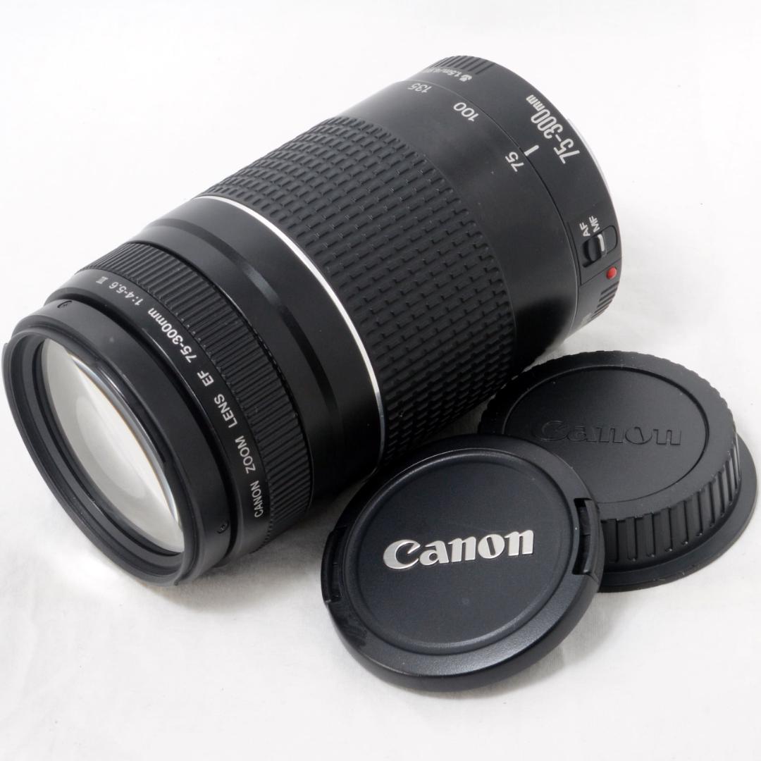 ⭐️実用品⭐️Canon キャノン EF 75-300mm F4-5.6 Ⅲ