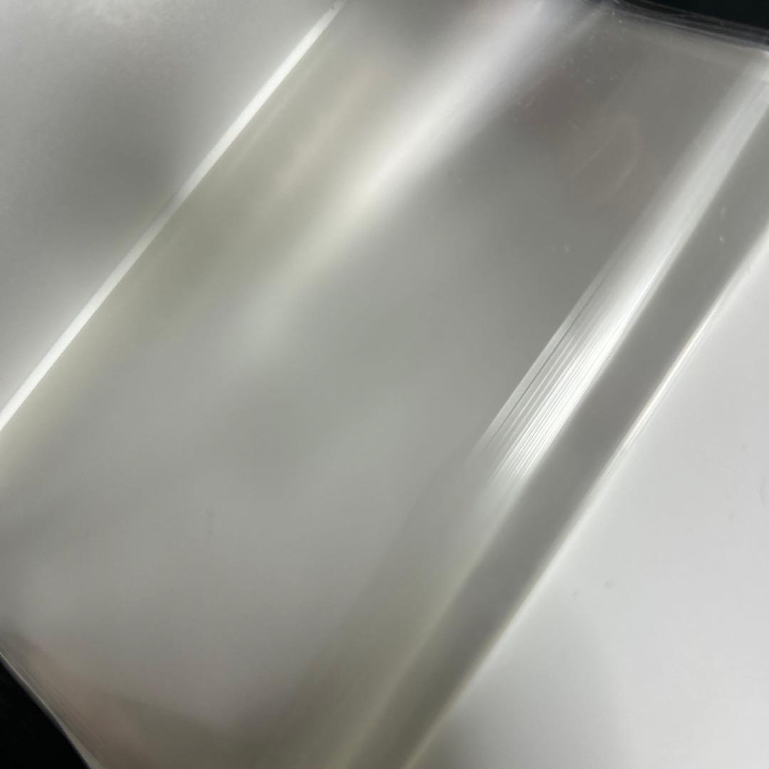 激レア　ポンチョを着たピカチュウ 非売品　ファイル