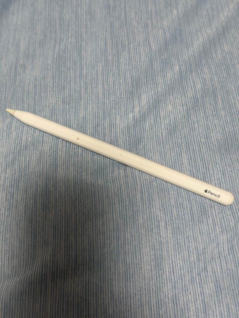 iPad Pro 11 第1世代 256GB Wi-Fi + Cellular