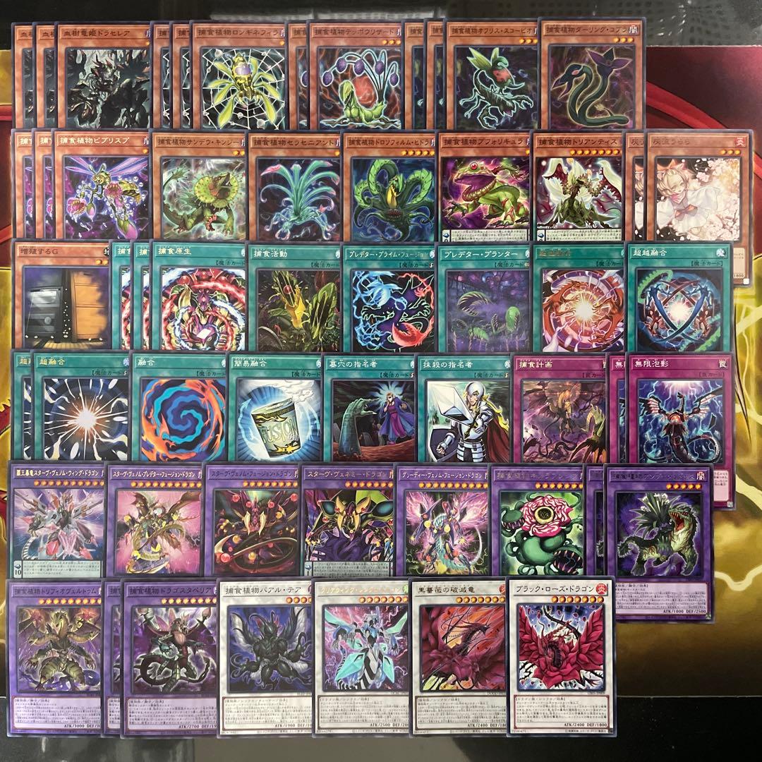 本格構築 捕食植物デッキ プレデタープランツデッキ 血樹竜姫ドラセリア