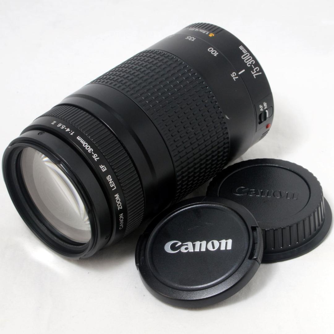 ★良品★Canon キャノン EF 75-300mm F4-5.6 Ⅱ